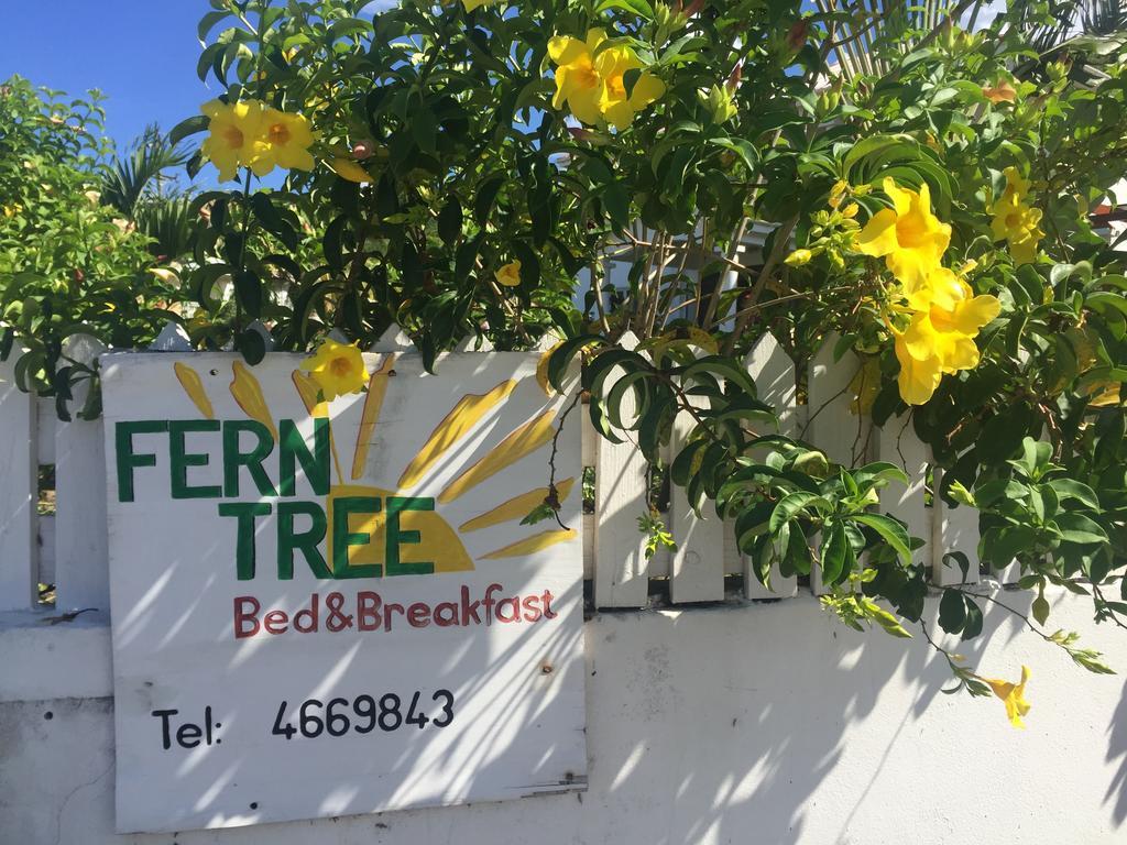 Fern Tree Bed And Breakfast Frigate Bay Esterno foto